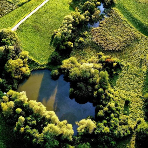 Dachberger_Moorteich